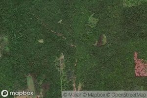 East Branch Wallis Run