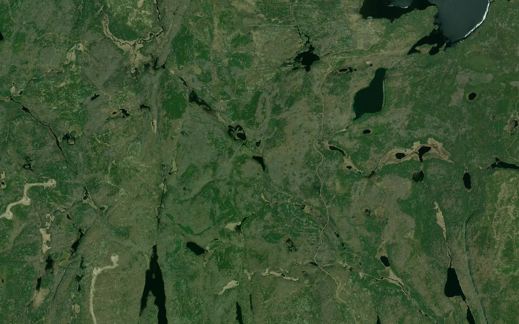 Satellite map of the Elbow Lake