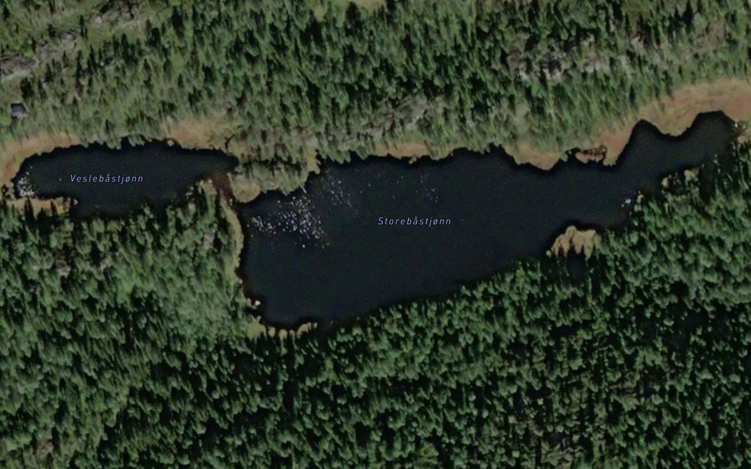 Storebastjonn