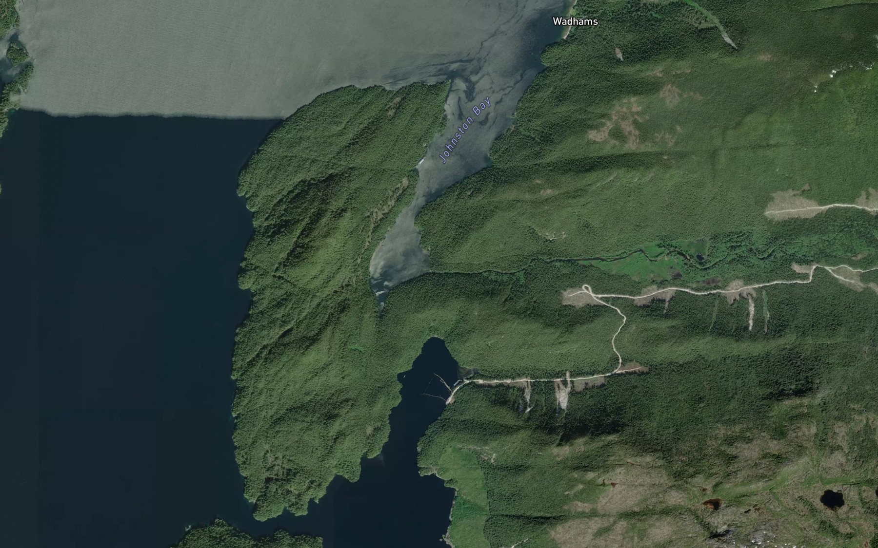 Satellite map of the Johnston Creek