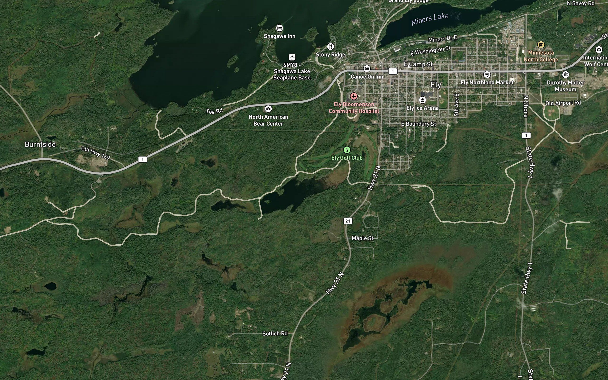 Pioneer Tailings Basin