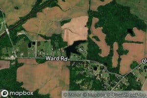 Mitchell Lake Number One