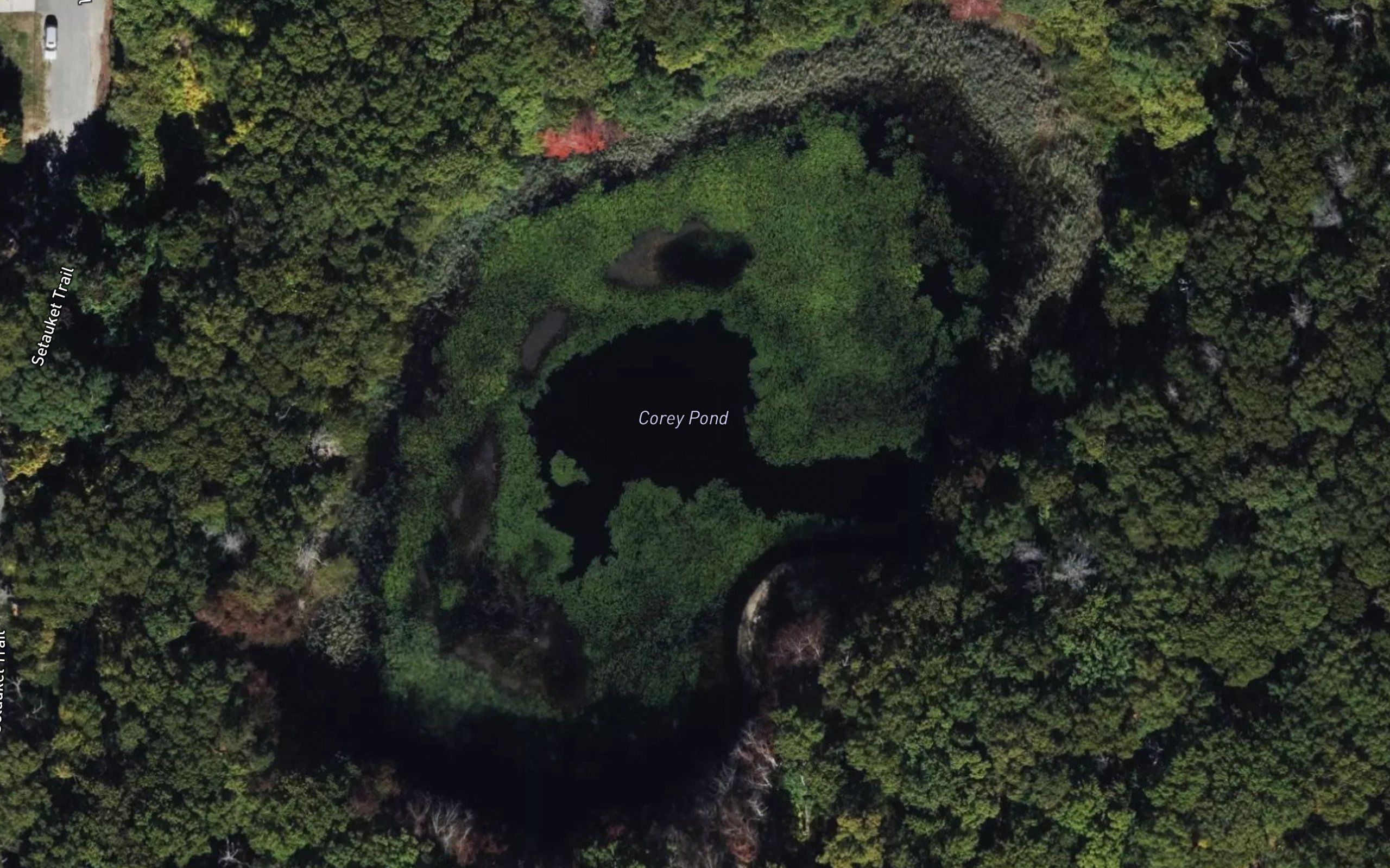 Corey Pond