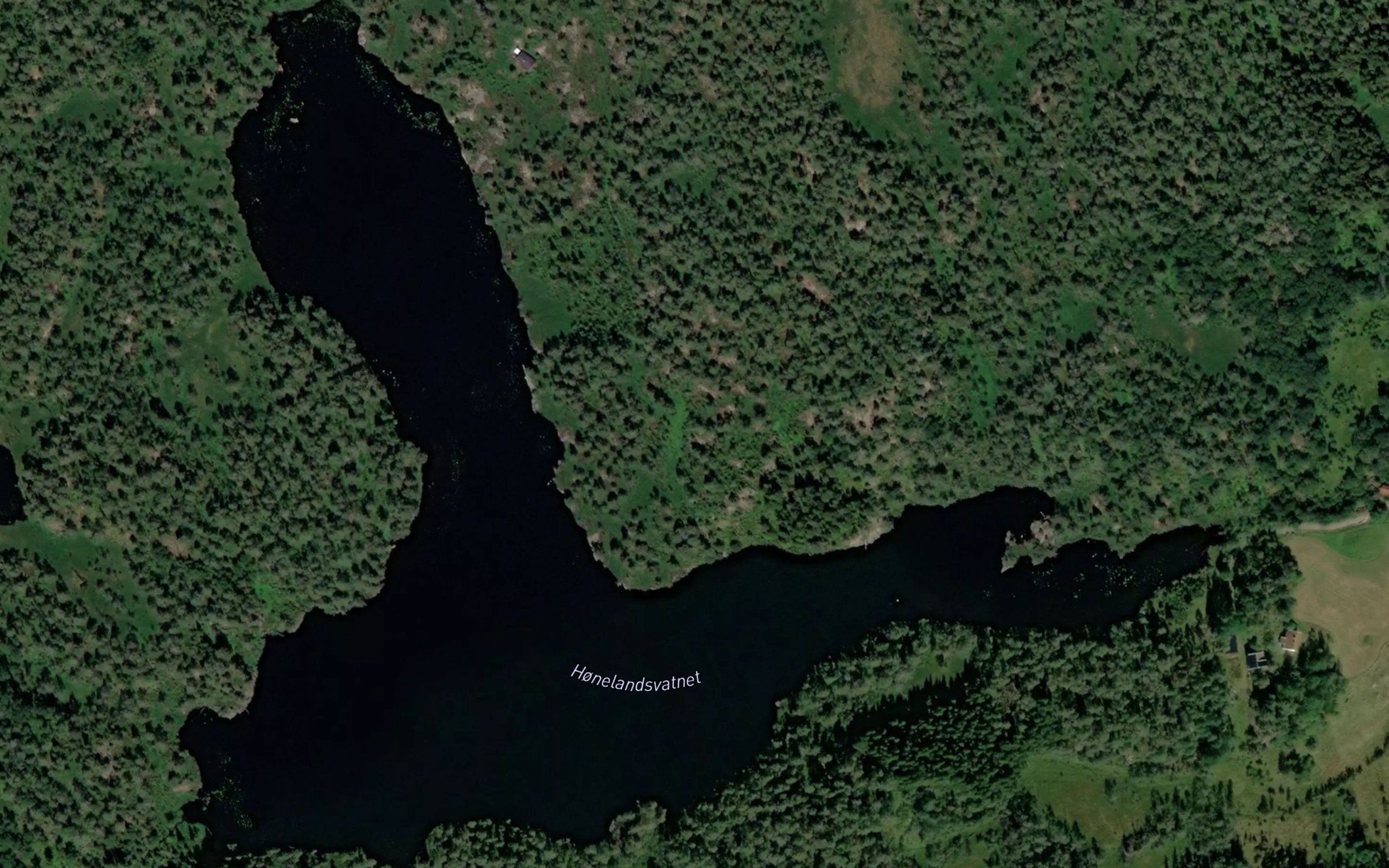 Honelandsvannet