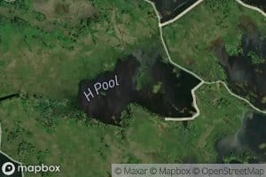 H Pool