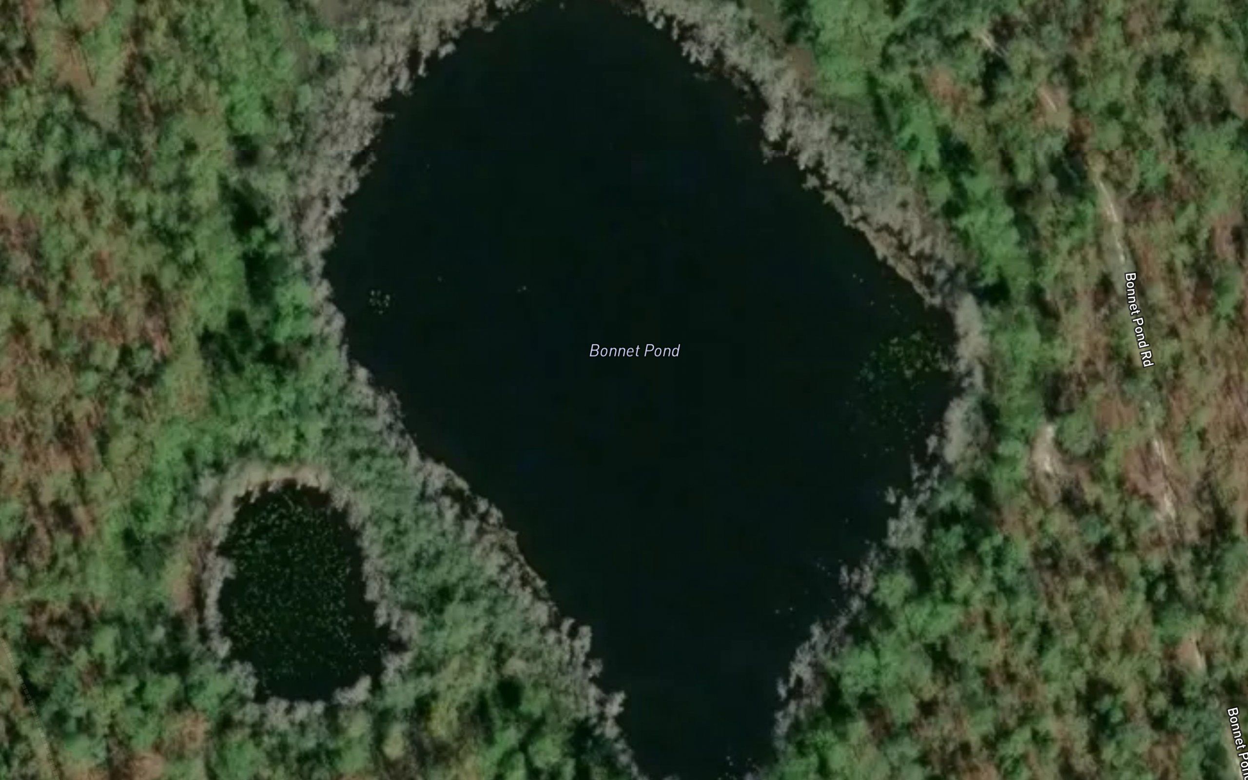 Bonnet Pond
