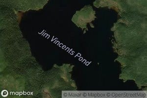 Jim Vincents Pond