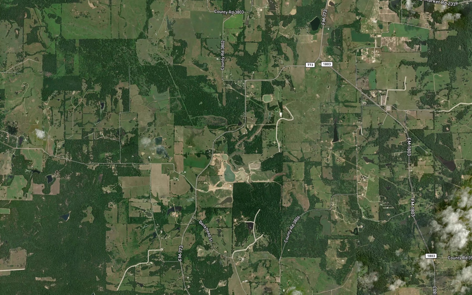 Satellite map of the Waldrip Lake