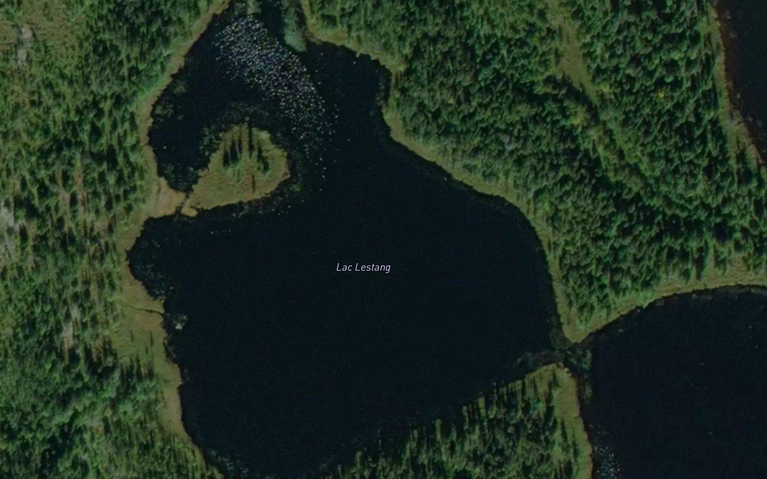 Lac Lestang