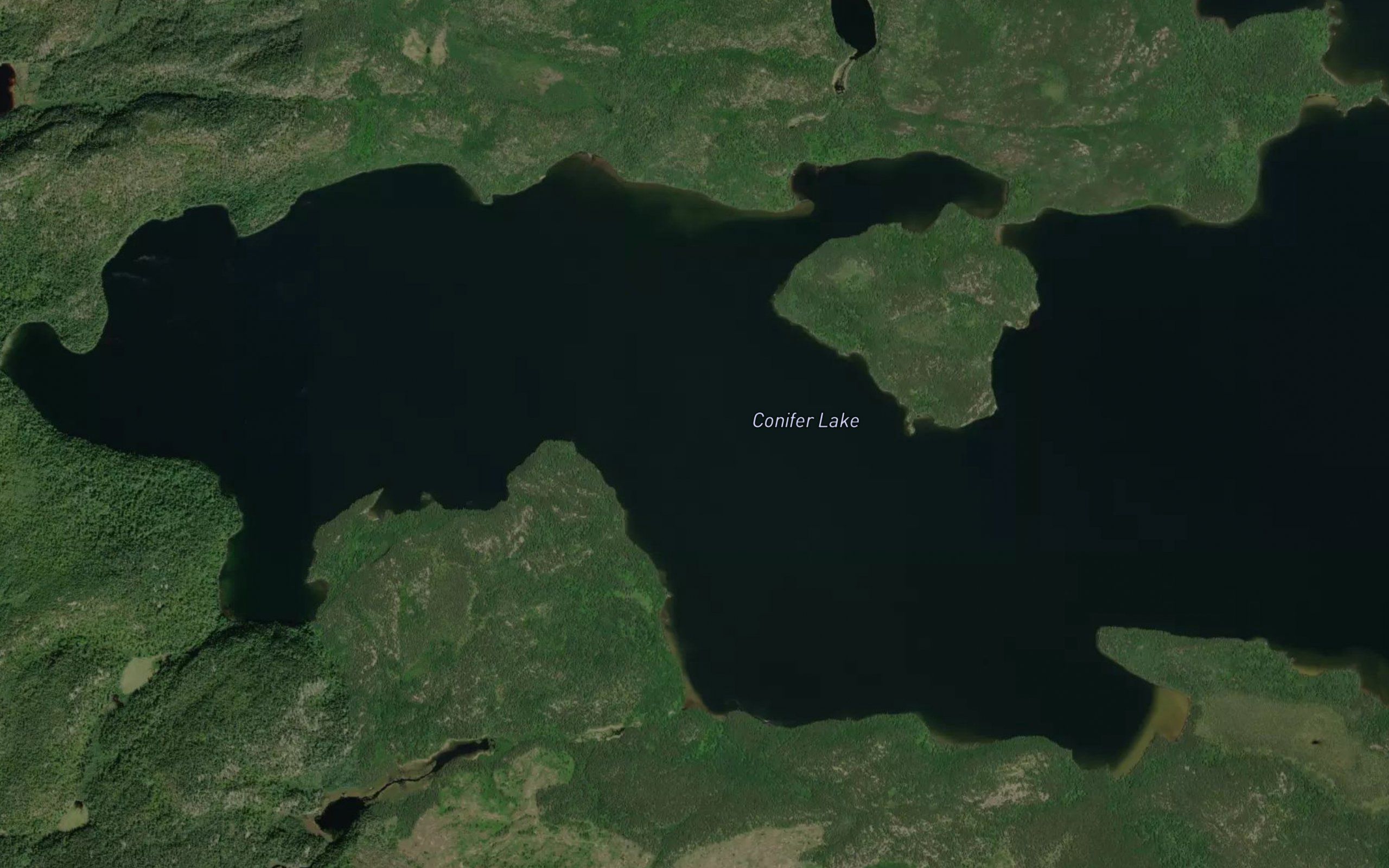 Conifer Lake