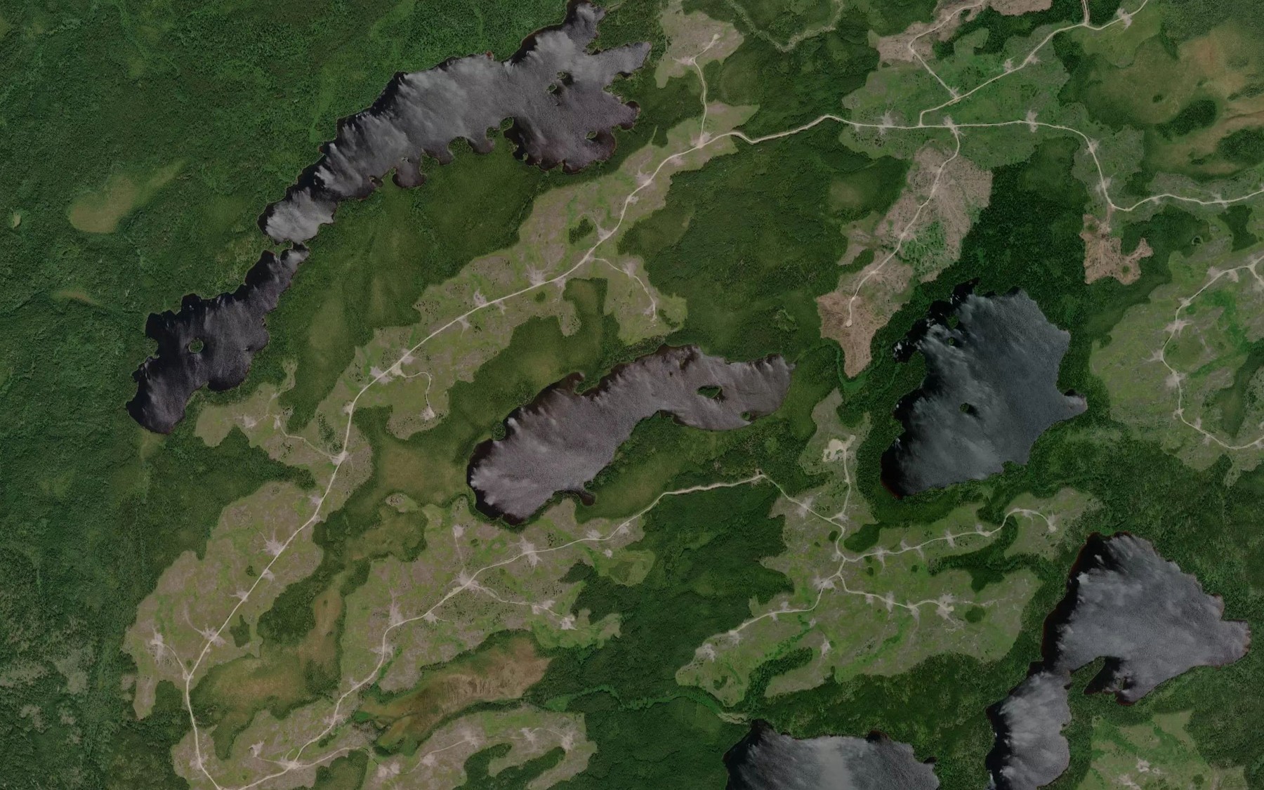 Satellite map of the Argosy Lake