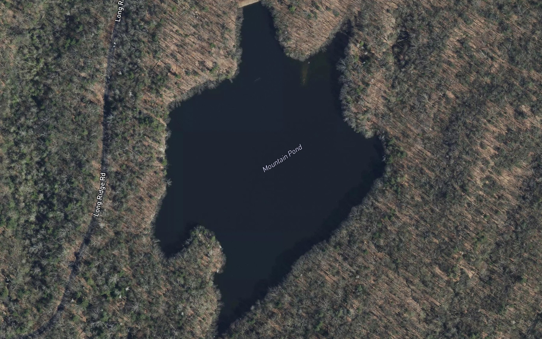 Satellite map of the Mountain Pond