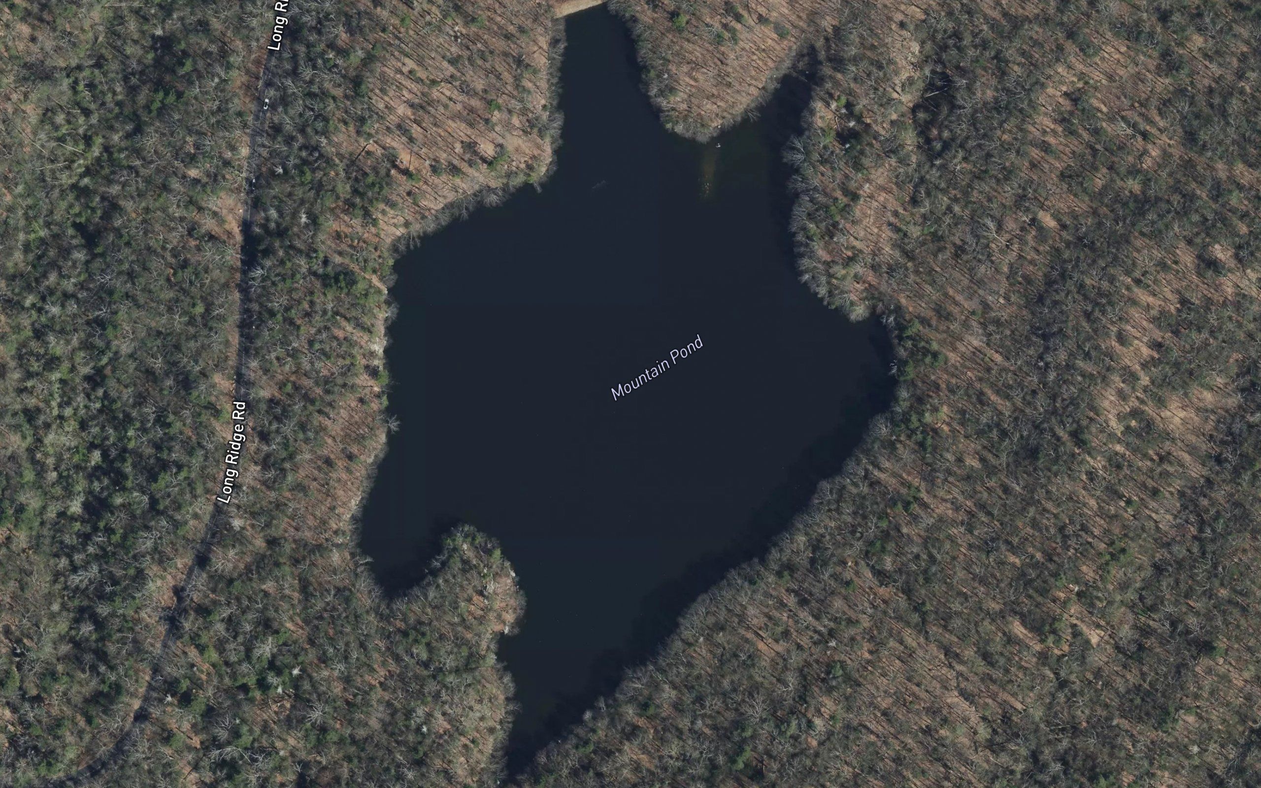 Mountain Pond