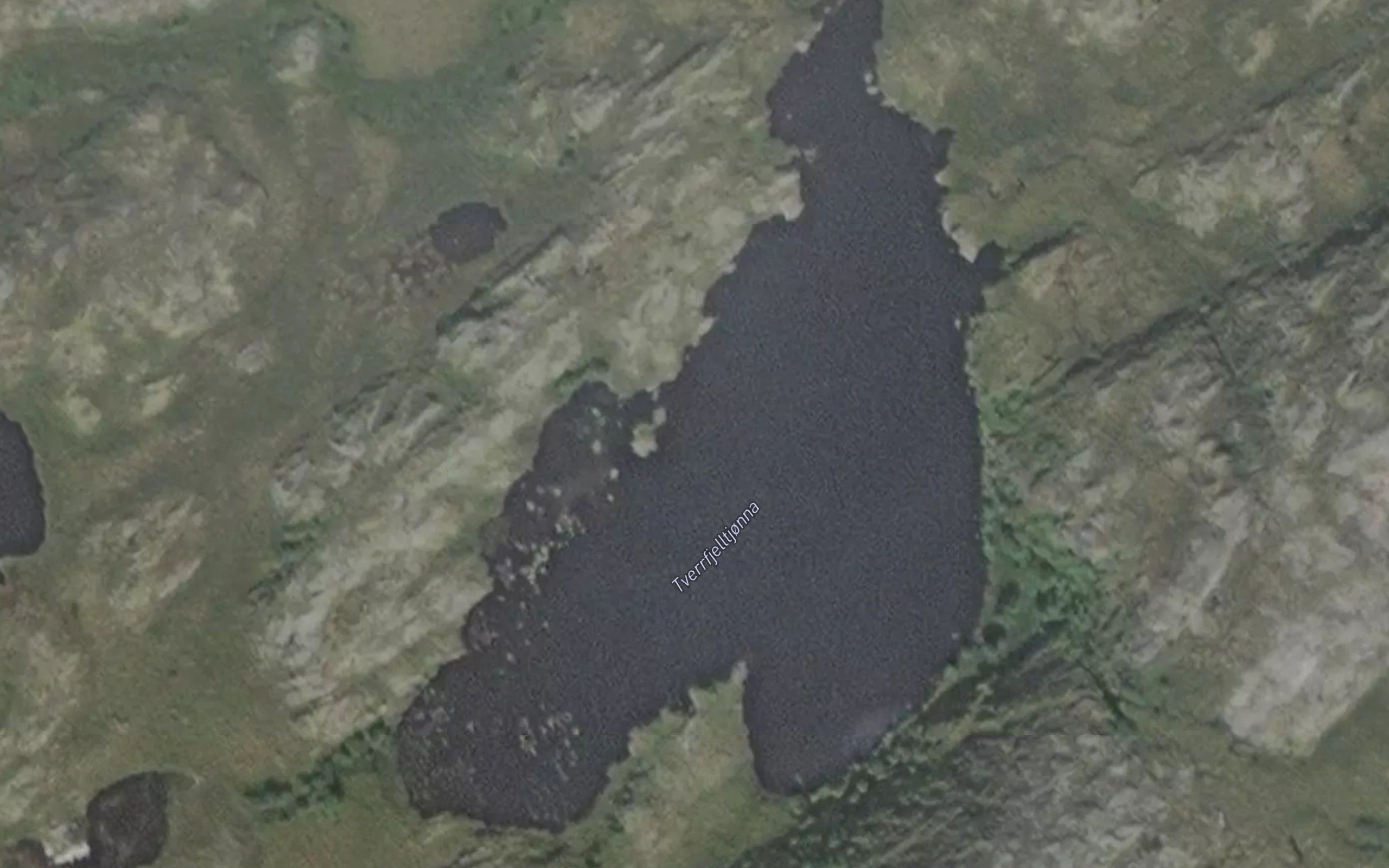 Tverrfjelltjonna