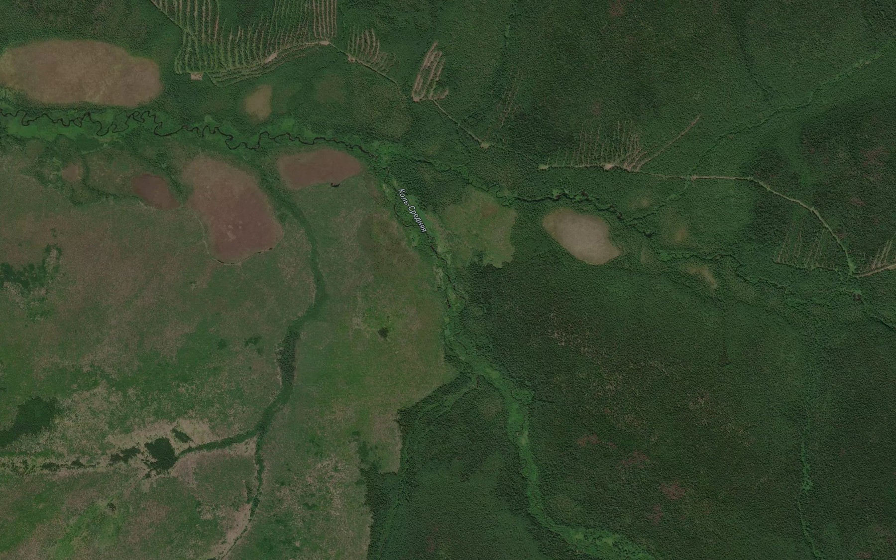Satellite map of the Medvezhiy