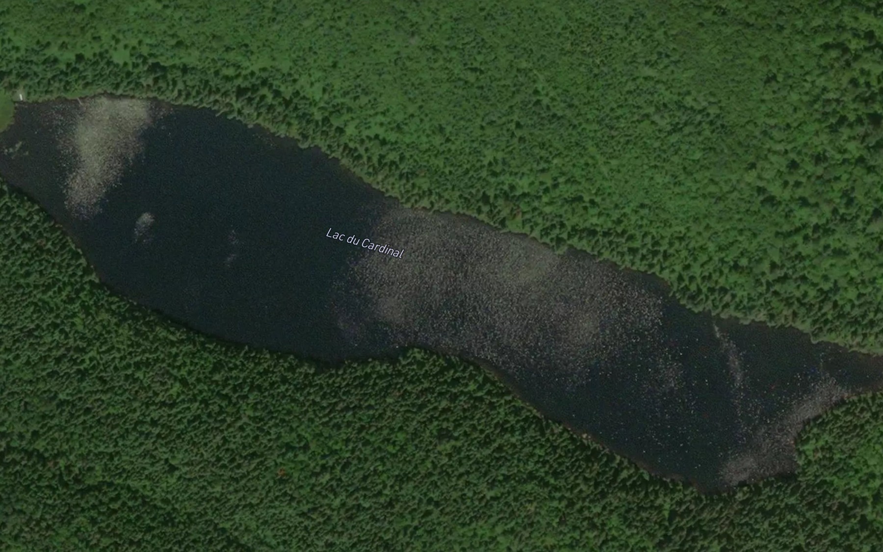 Satellite map of the Lac du Cardinal