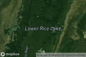 Lower Rice Lake