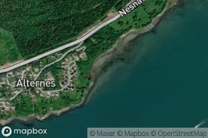Alternesvika