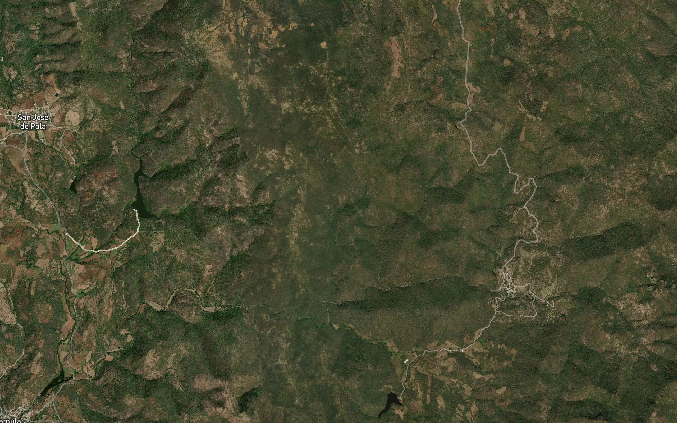 Acahuales