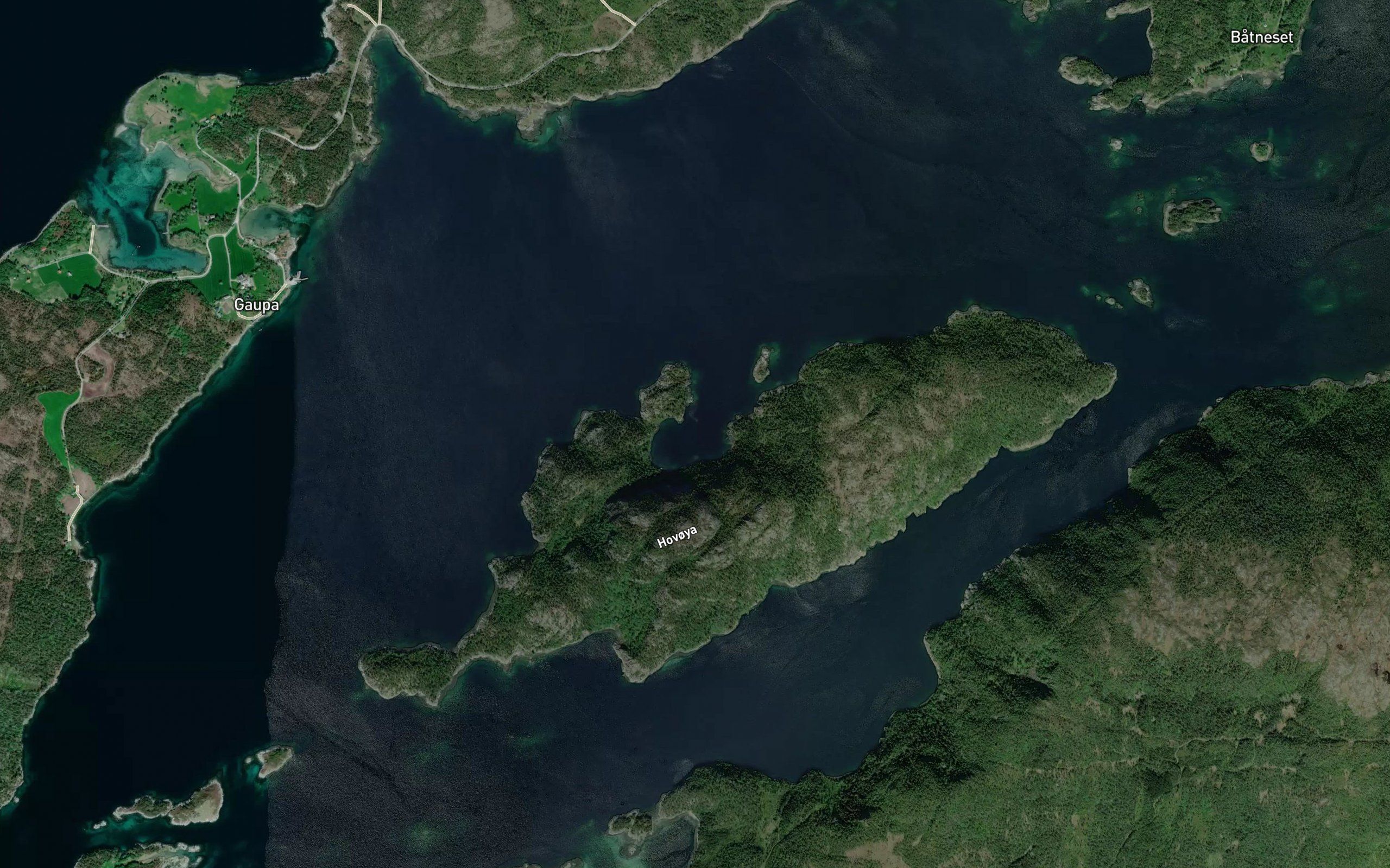 Kobbleivika