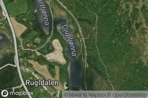 Djuptjorna