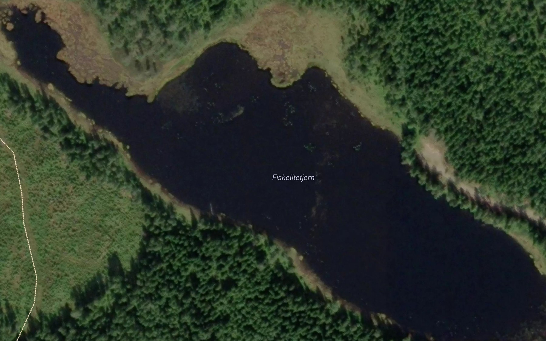 Satellite map of the Fiskelitetjern