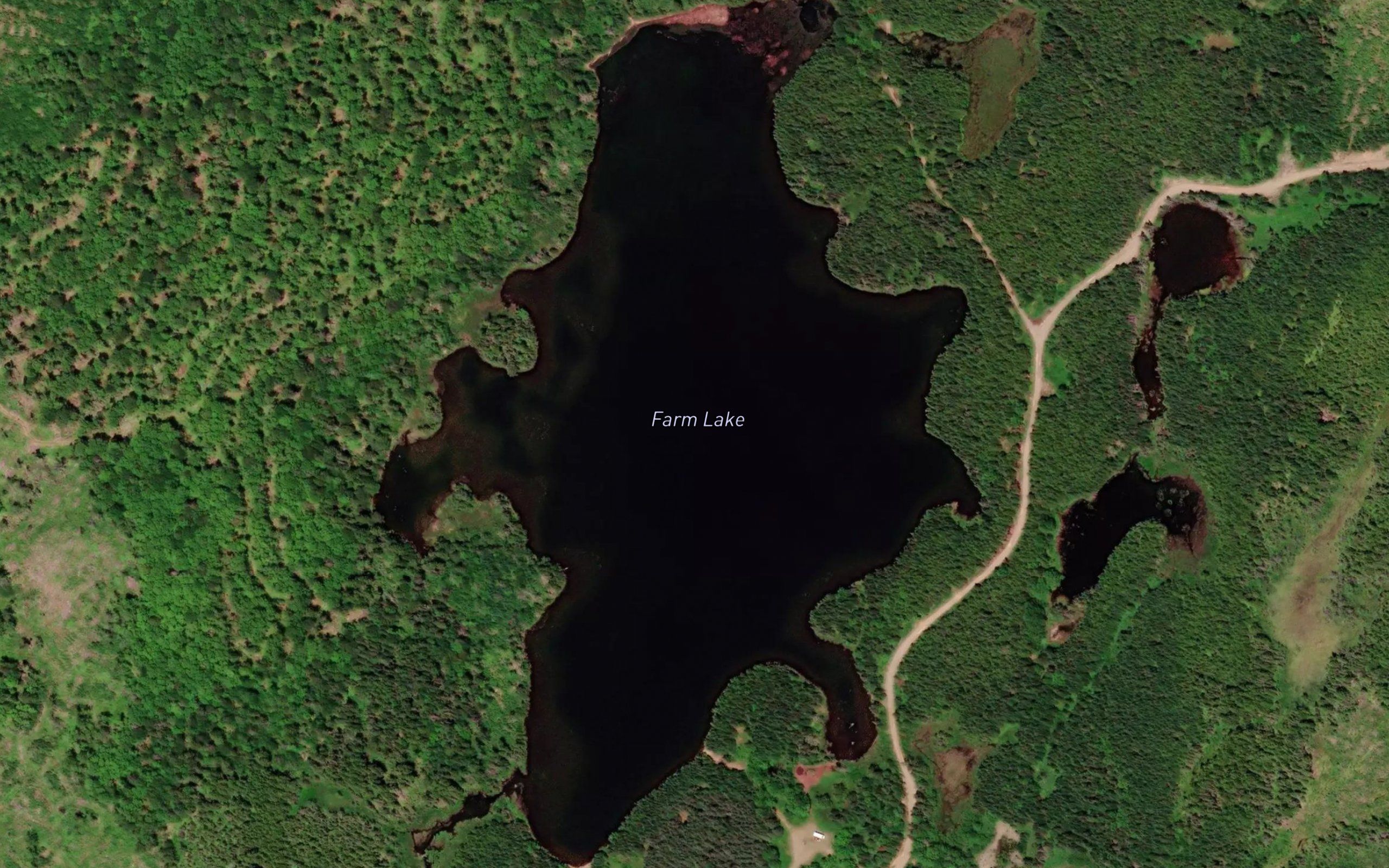 Farm Lake