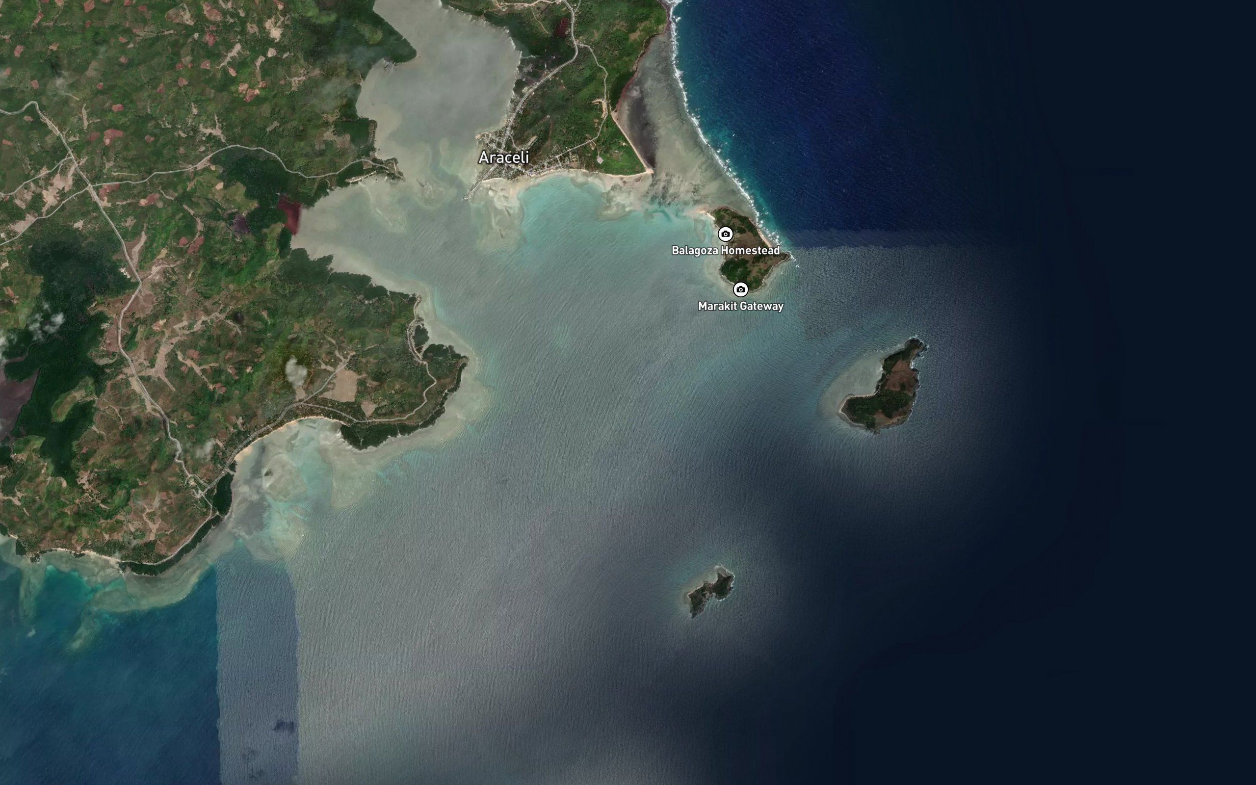 Cynthia Bay