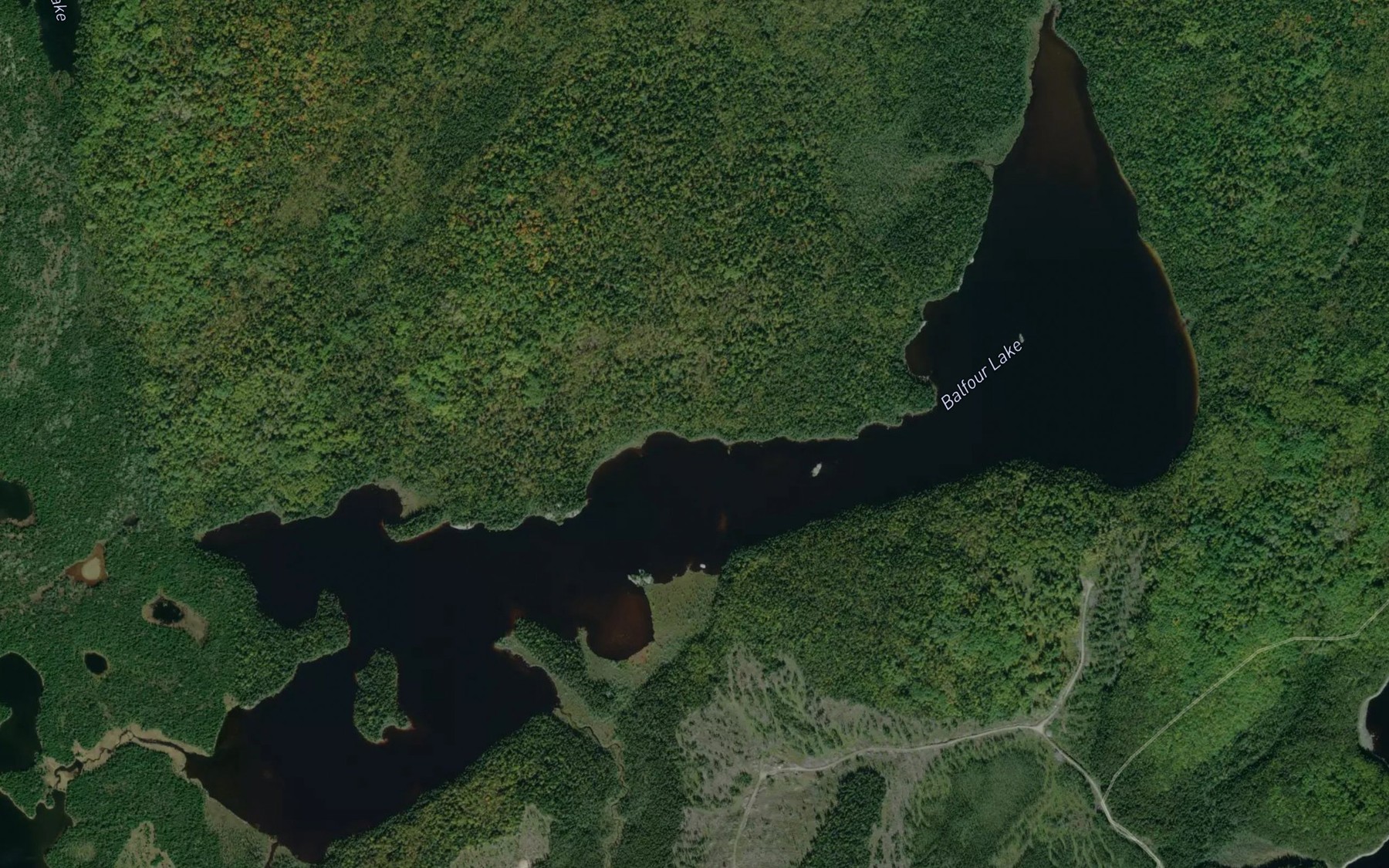 Satellite map of the Balfour Lake