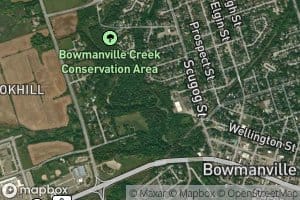 Bowmanville Creek