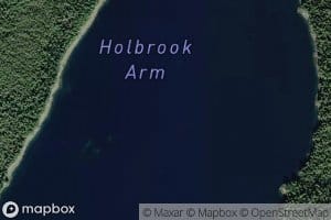 Holbrook Arm