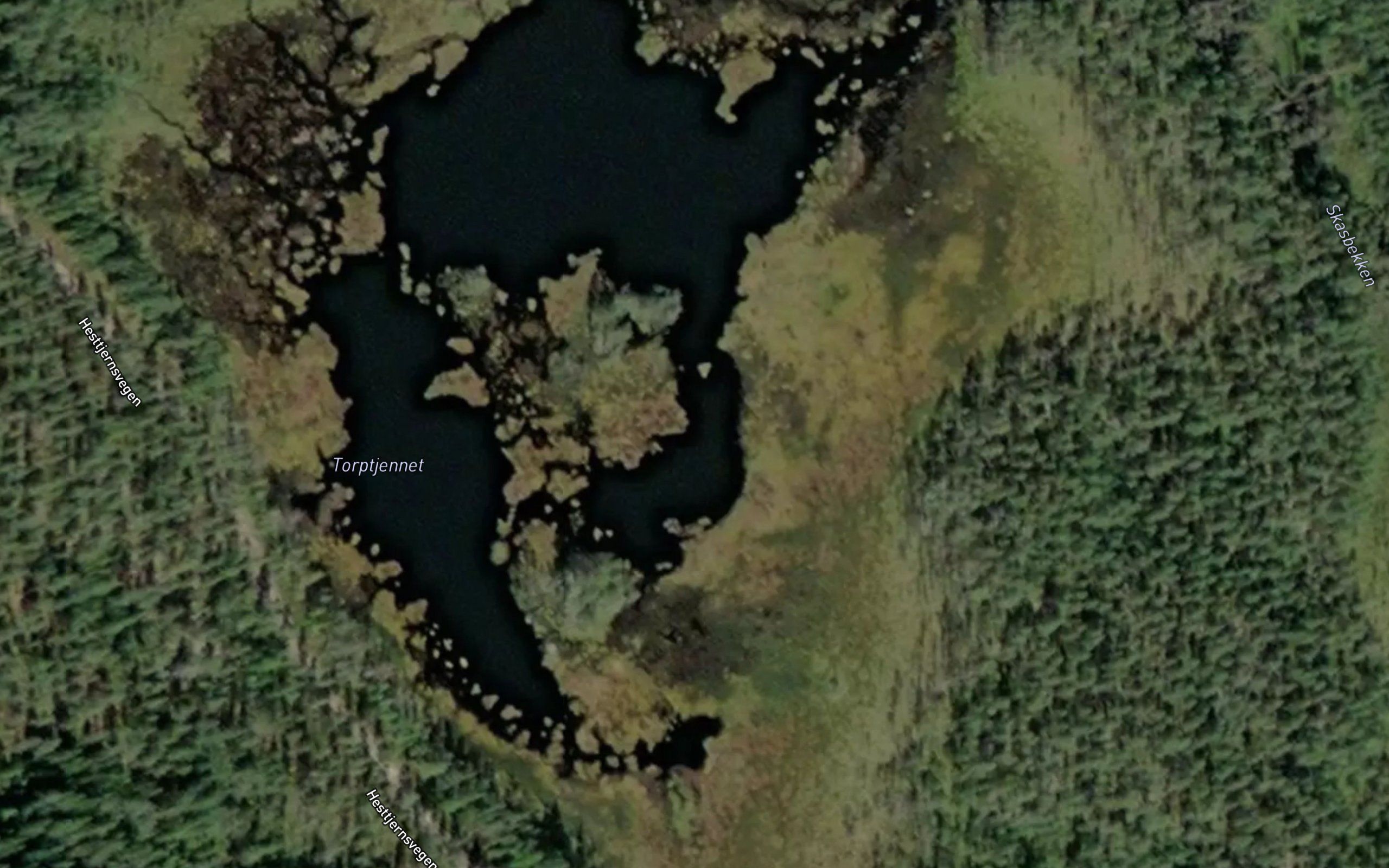 Torptjernet