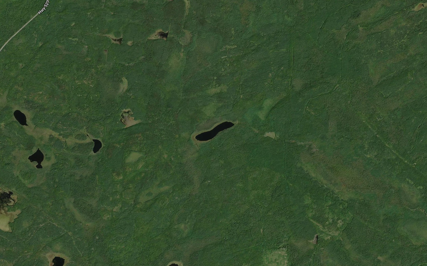 Satellite map of the Lunch Lake