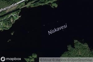 Niskavesi