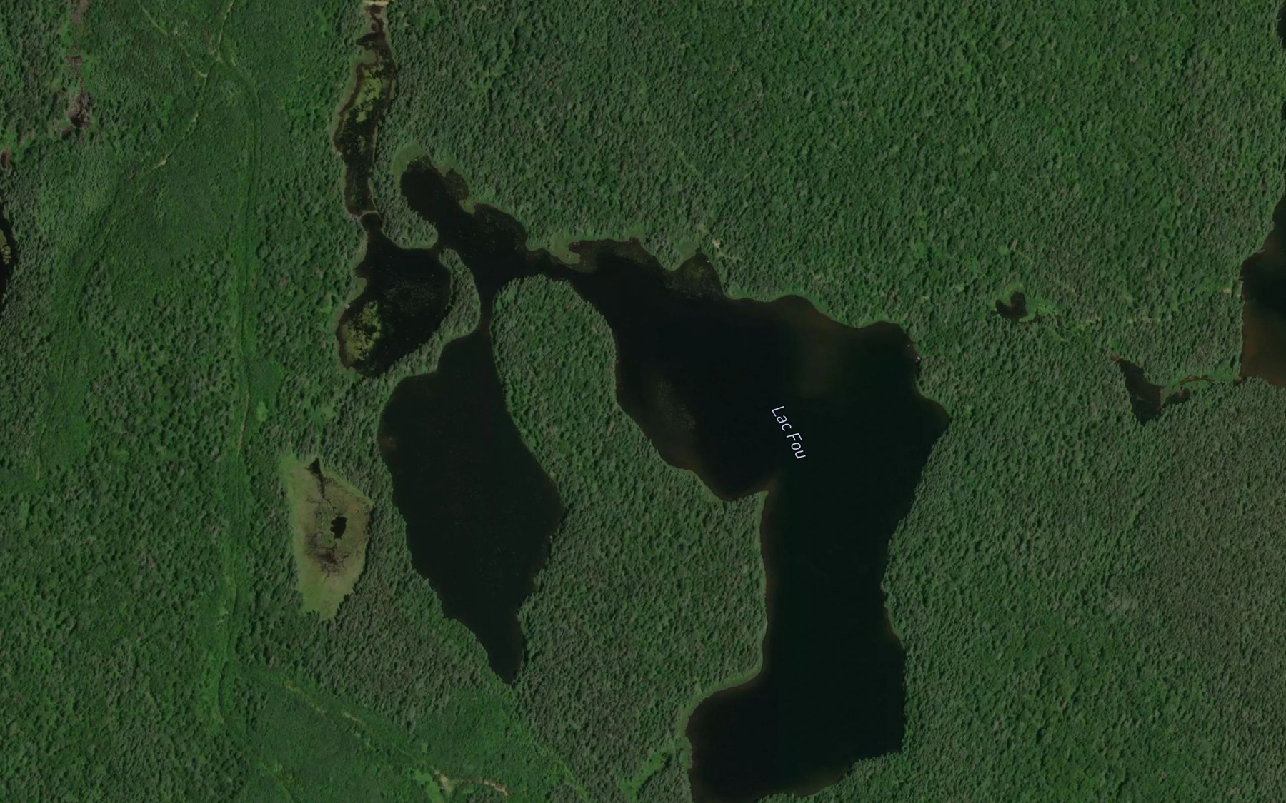 Satellite map of the Lac Fou