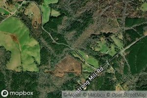 Bethel Spring Branch