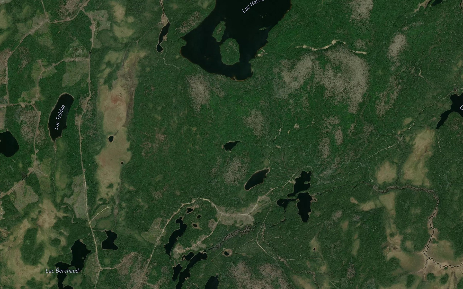 Satellite map of the Lac Rueppel