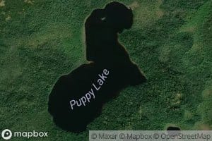 Puppy Lake