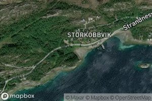 Flyndervika