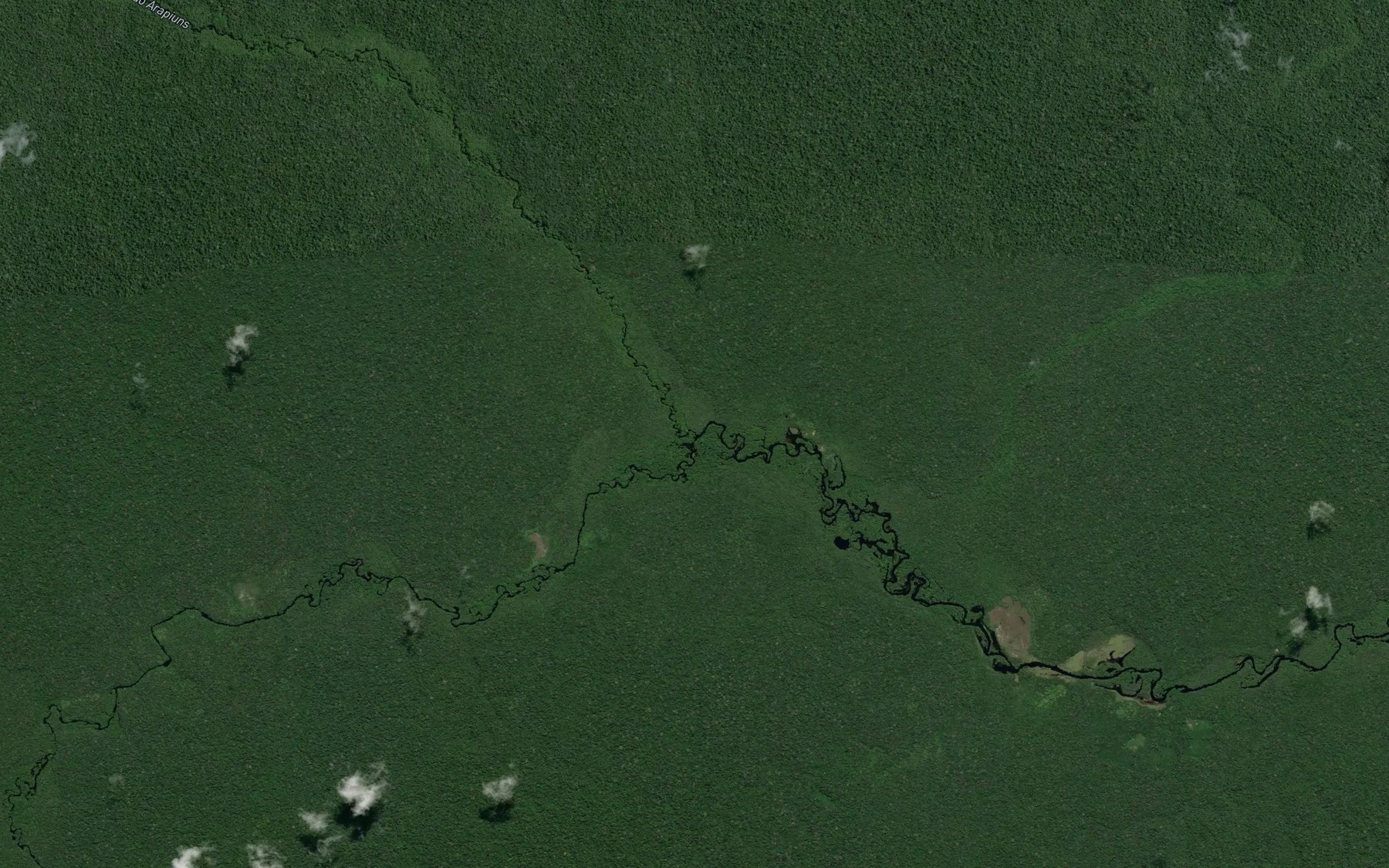 Satellite map of the Igarape Javari