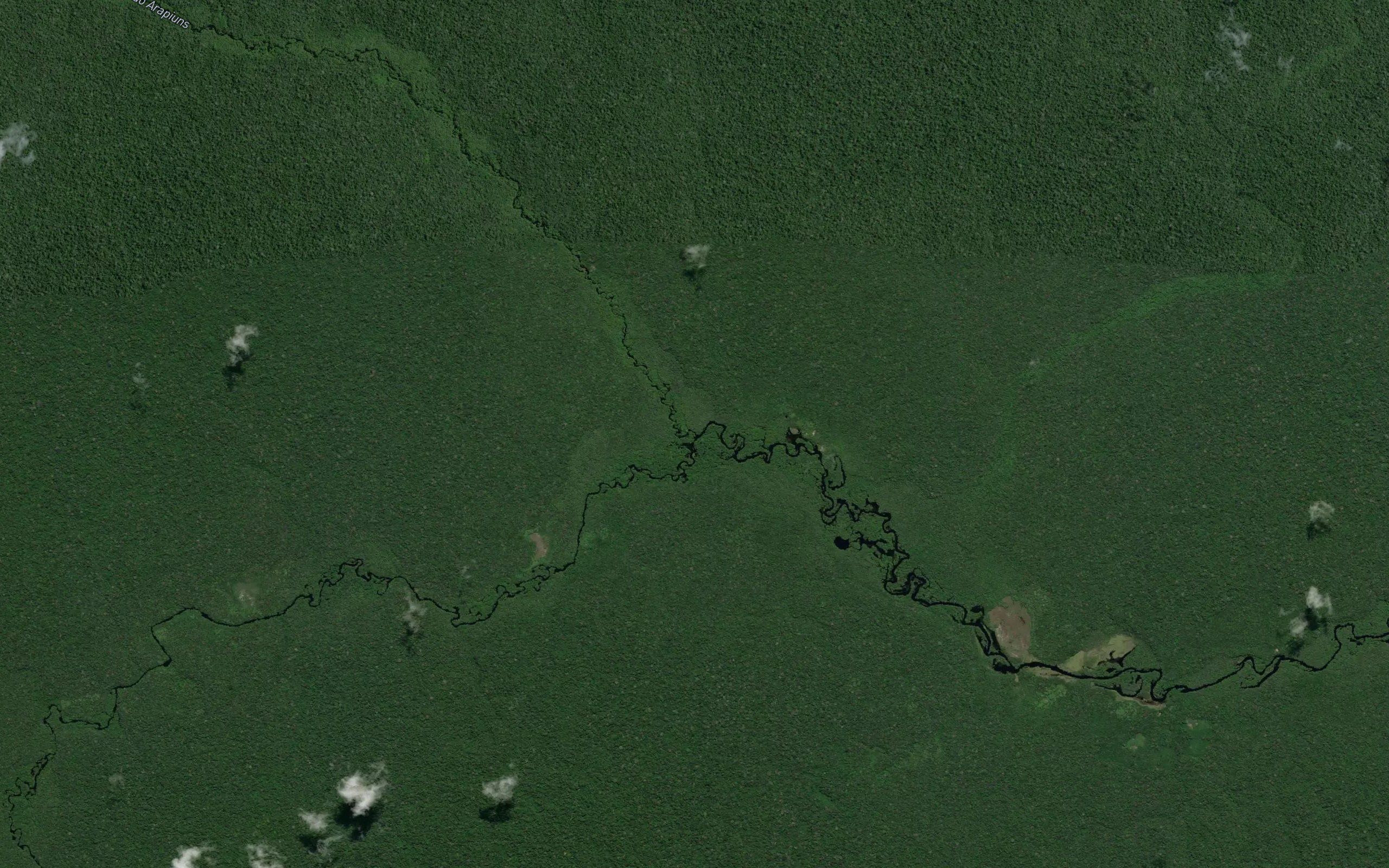 Igarape Javari