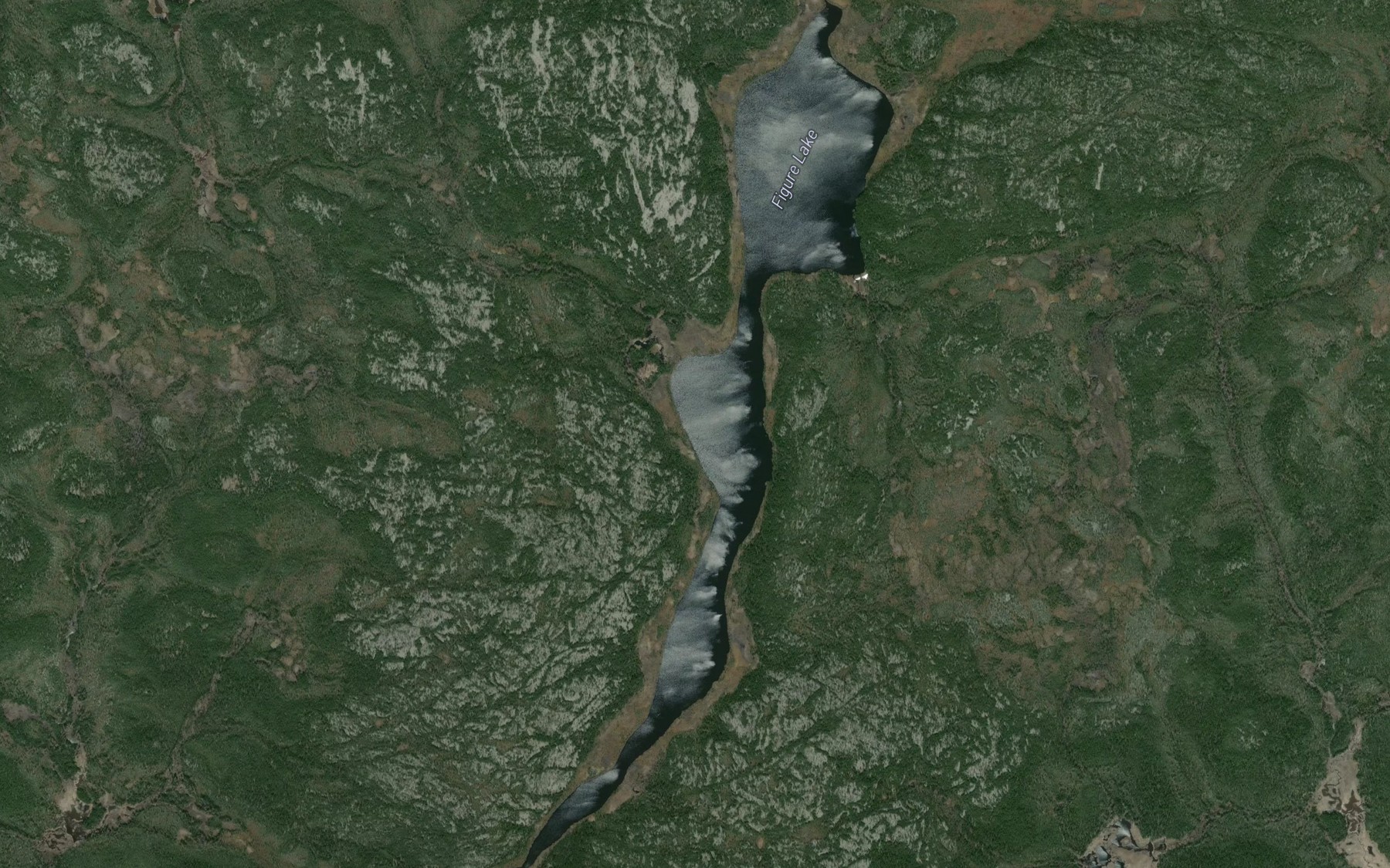 Satellite map of the Figure Lake