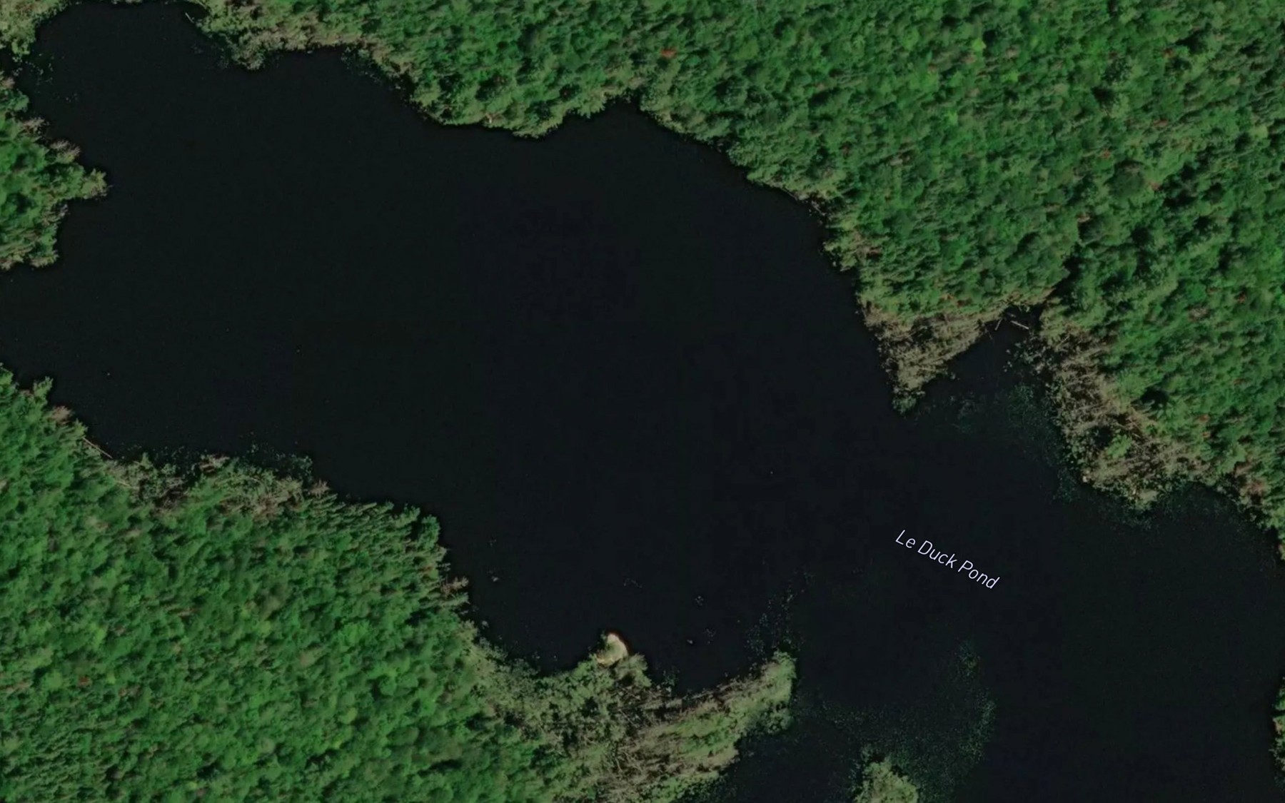 Satellite map of the Le Duck Pond