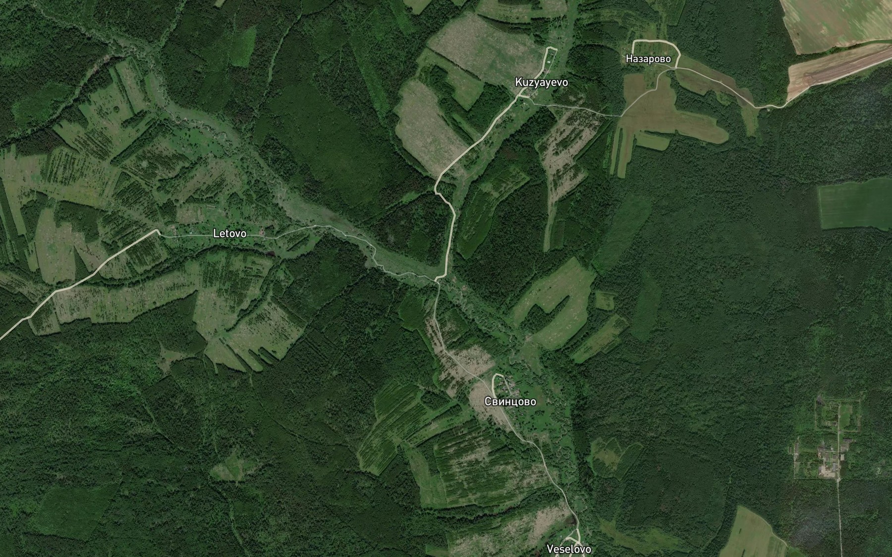 Satellite map of the Malaya Lipnya