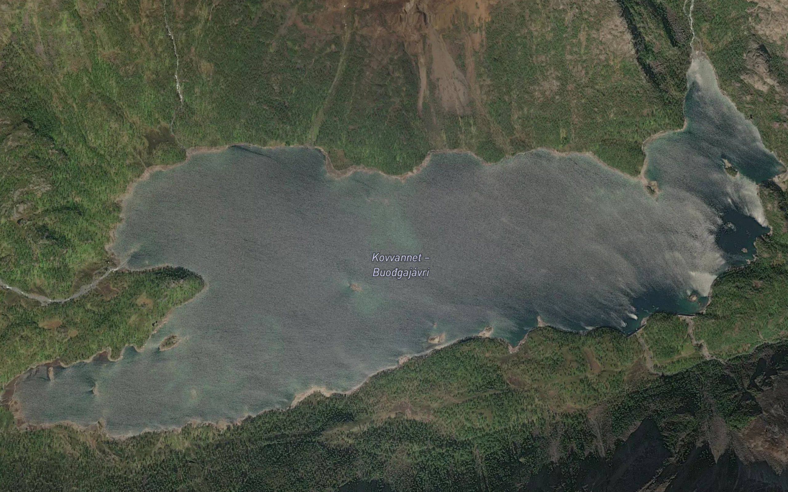 Buoggajavri