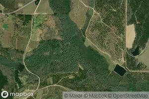 Shaver Branch
