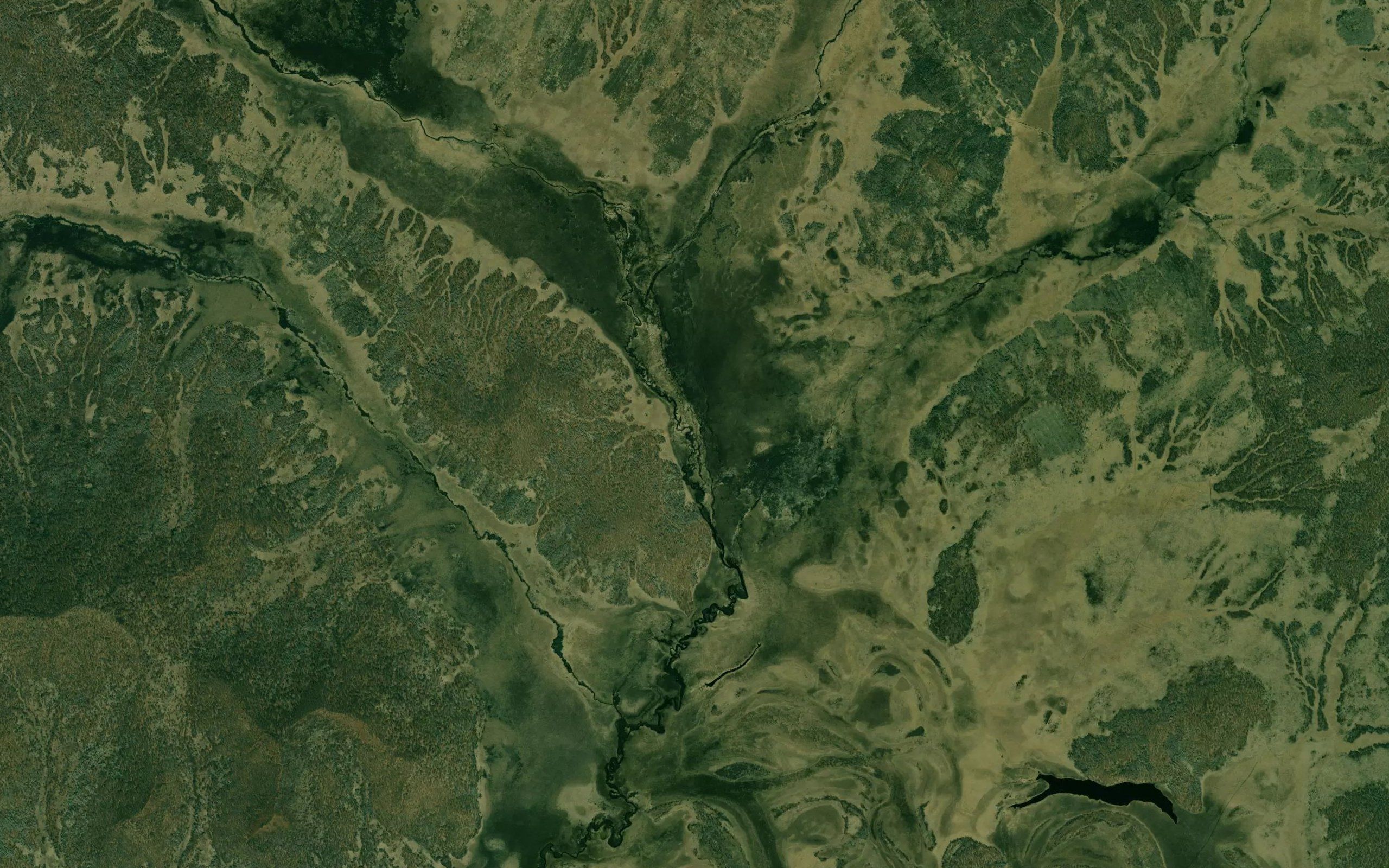 Zabolochennaya