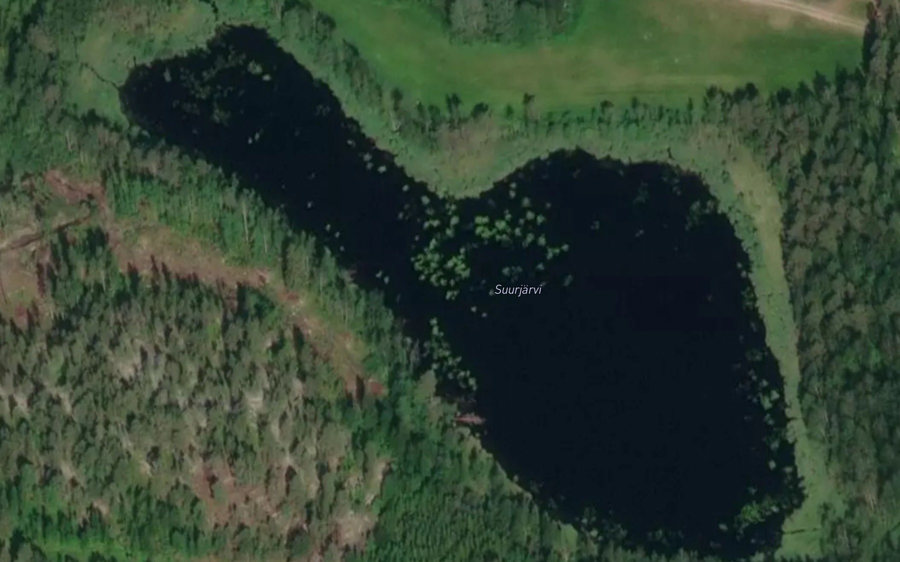 Satellite map of the Suurjarvi