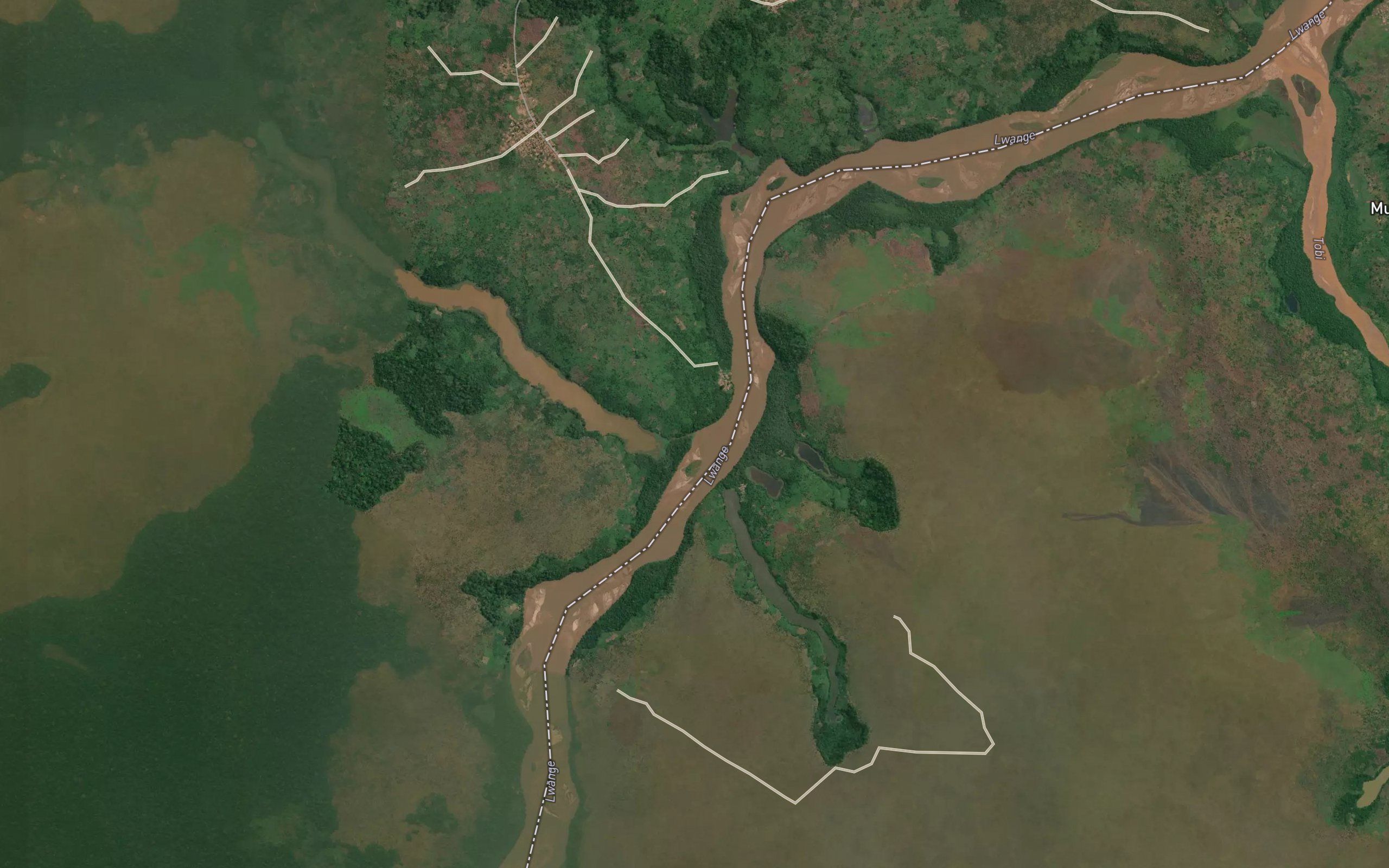 Lubula