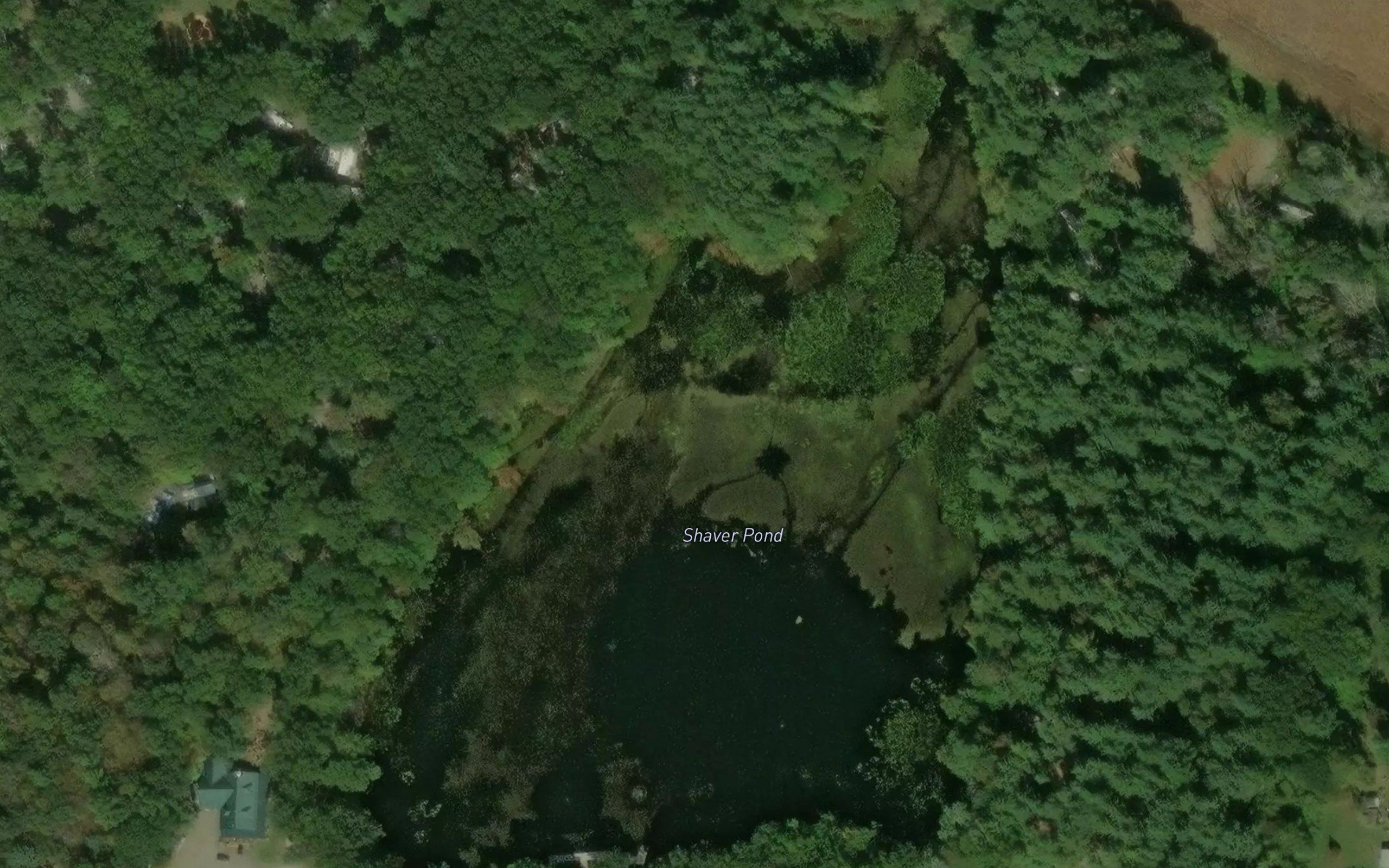 Shaver Pond
